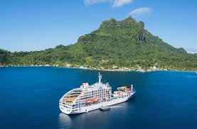 Attēlu rezultāti vaicājumam “Aranei exuvia”