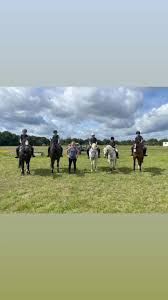 Image result for Chiddingfold Branch Of The Pony Club