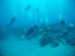 Image result for Harbour Lights Snorkelling Club (HLSC)