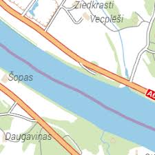 Attēlu rezultāti vaicājumam “Magdalis sp.”