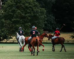 Image result for Kirtlington Park Polo Club