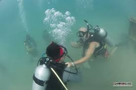Image result for Exe To Sea Diving