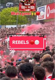 Image result for Cork Rebels