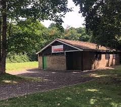 Image result for Redhill Juniors FC