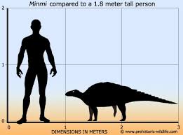 Image result for MINMI