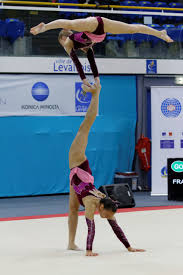 Image result for Sports Acro