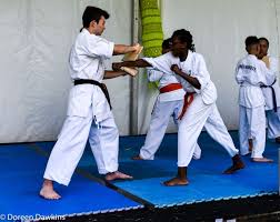 Image result for Ndm Martial Arts