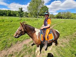Image result for Dalkeith Park Equestrian Club