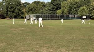 Image result for Whiteley Village Cricket Club