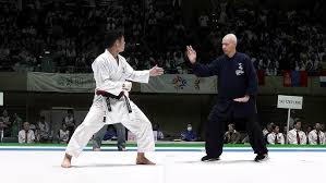 Image result for Sandokai Karate
