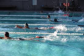 Image result for Grimsby Alexander Dolphins Swimming Club