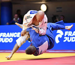 Image result for Judo Excellence