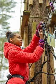 Image result for Go Ape! Thetford