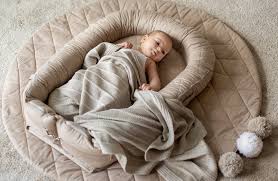 Attēlu rezultāti vaicājumam “Diaperis boleti nest”