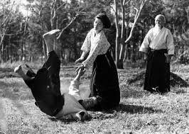 Image result for Aikido - Shobu UK (Newton in furness)