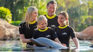 Image result for Discover Swimming