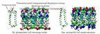 Intrinsic Curvature Properties of Photosynthetic Proteins in ...