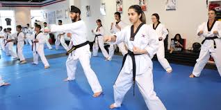 Image result for Surrey Taekwondo