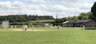 Image result for Shepherdswell Cricket Club