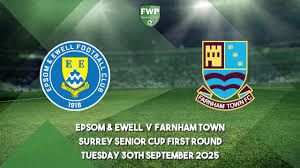 Image result for Epsom & Ewell Football Club
