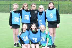 Image result for Farnham Netball Club