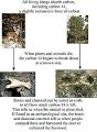 Mississippi Valley Archaeology Center: The Process of Archaeology
