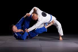 Image result for Brazilian-martial arts