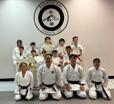 Image result for Villatoro Bushido Martial Arts