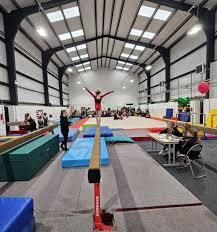 Image result for North Devon Display Gymnastics Club