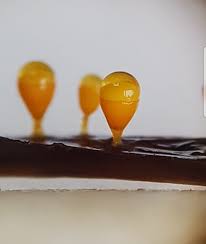 Attēlu rezultāti vaicājumam “Lignydium muscorum plasmodium”