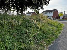 Image result for Woodmancote SMBC