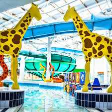 Image result for Basingstoke Sc