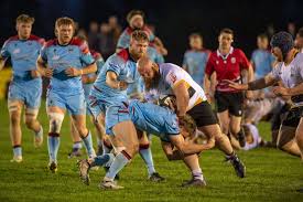 Image result for Stirling Wolves