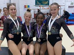 Image result for Abingdon Gymnastics Club