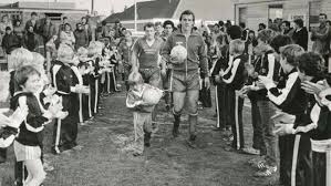 Image result for Addlestone Wanderers