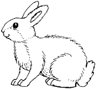 Kaninchen Malvorlagen - Malvorlagen1001.