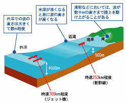 Image result for 高潮 津波 別物