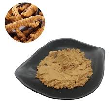 Attēlu rezultāti vaicājumam “Cordyceps polyarthra”