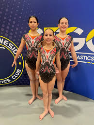 Image result for St Helens Centre For Gymnastics