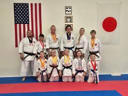 Image result for Karate Wado Kai