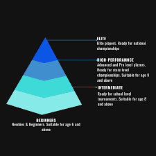 Image result for Beginners and Intermediate Badminton