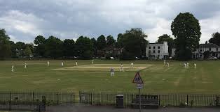 Image result for Thames Ditton Cricket Club