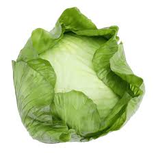 Image result for Kopfsalat