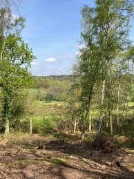 Image result for Ottershaw Tennis Club