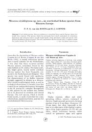 Attēlu rezultāti vaicājumam “Micarea sp.”