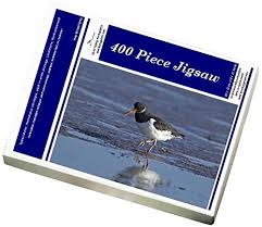 Attēlu rezultāti vaicājumam “Haematopus ostralegus adult”