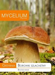 Attēlu rezultāti vaicājumam “Boletus edulis”