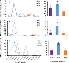 Attēlu rezultāti vaicājumam “Trioza dispar nymph”