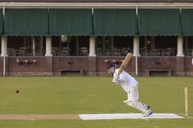 Image result for Thriplow Cricket Club