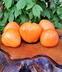 Afbeeldingsresultaat voor butter and bull heart tomato